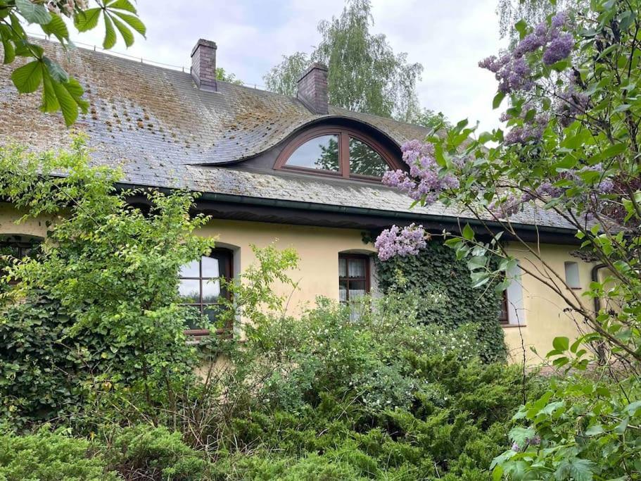Komfortowy Dom W Lesie Miedzichowo Экстерьер фото